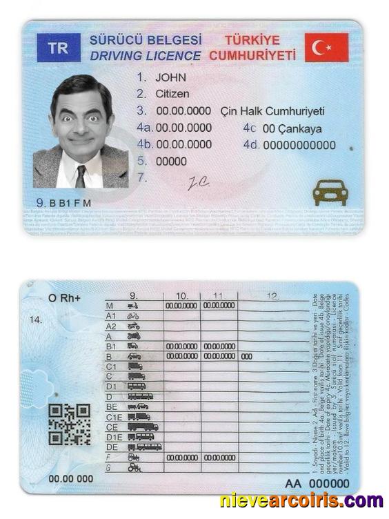 Turkey driving license